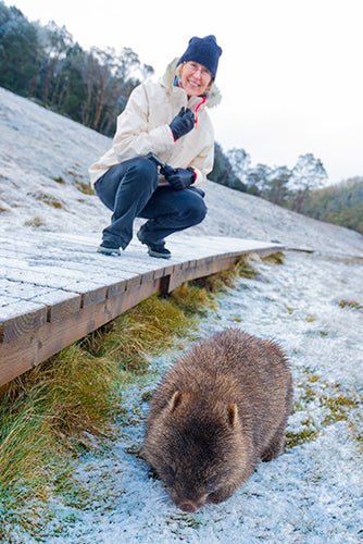 Shore Excursion - Cradle Mountain Day Tour - We Wander