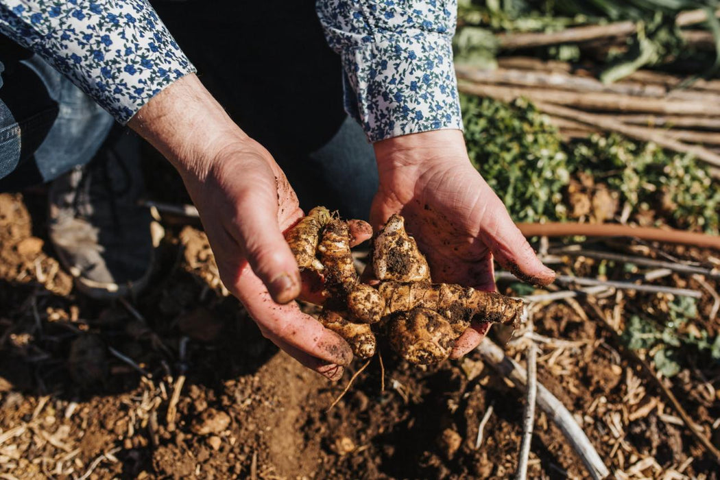 Six Senses Penobscot Farm Tour And Six Course Degustation Dinner - We Wander