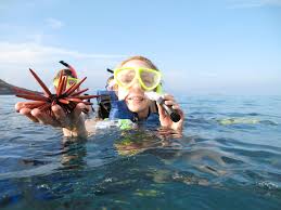 Snorkel With The Fish Wave Break Island - We Wander