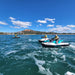 Snorkeling Magnetic Island - We Wander