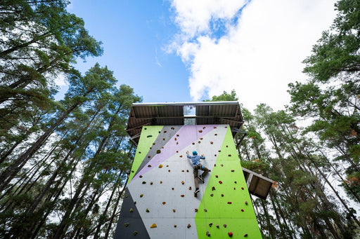 Southern Adventure Hub - Rock Climb & Ropes Course - We Wander