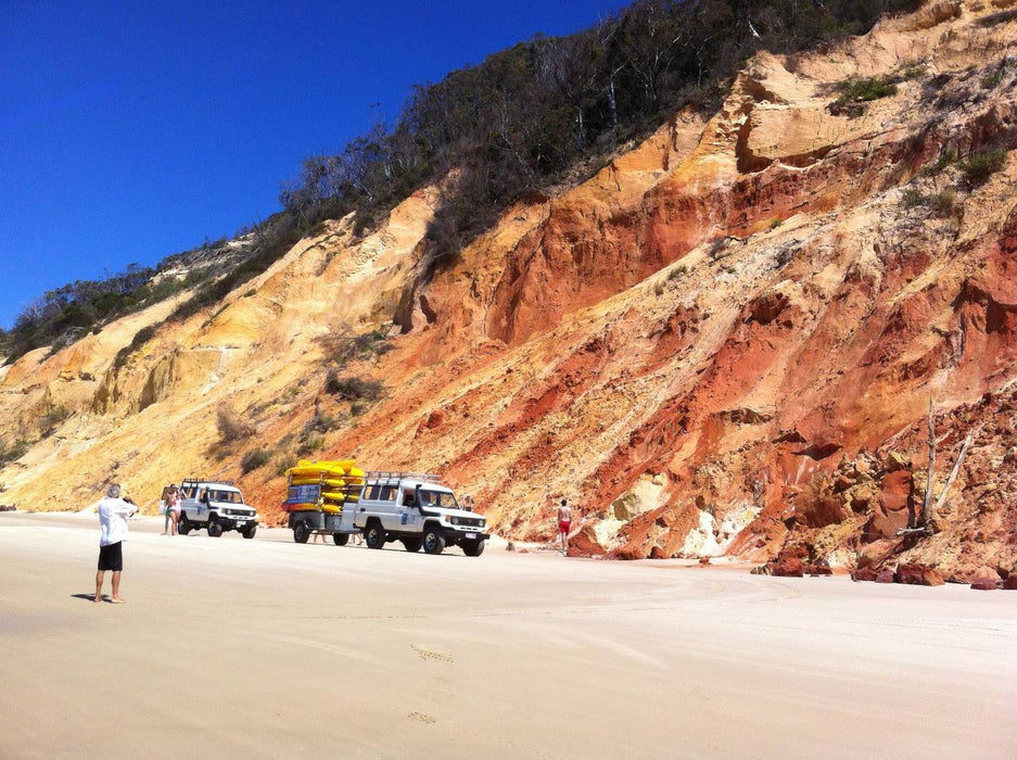 Stand Up Paddle Wildlife Tour & Beach 4X4 Day Trip - Noosa - We Wander