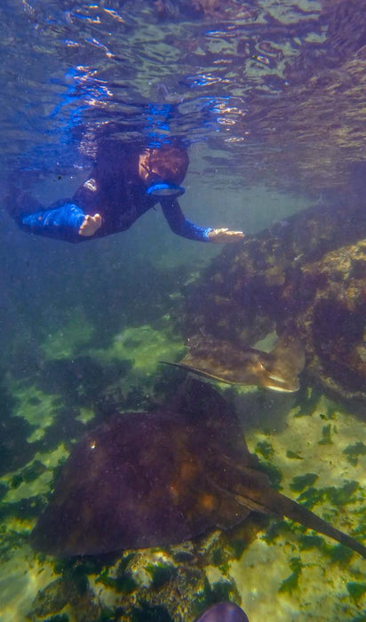 Stingray Snorkel With Entry Pass - We Wander