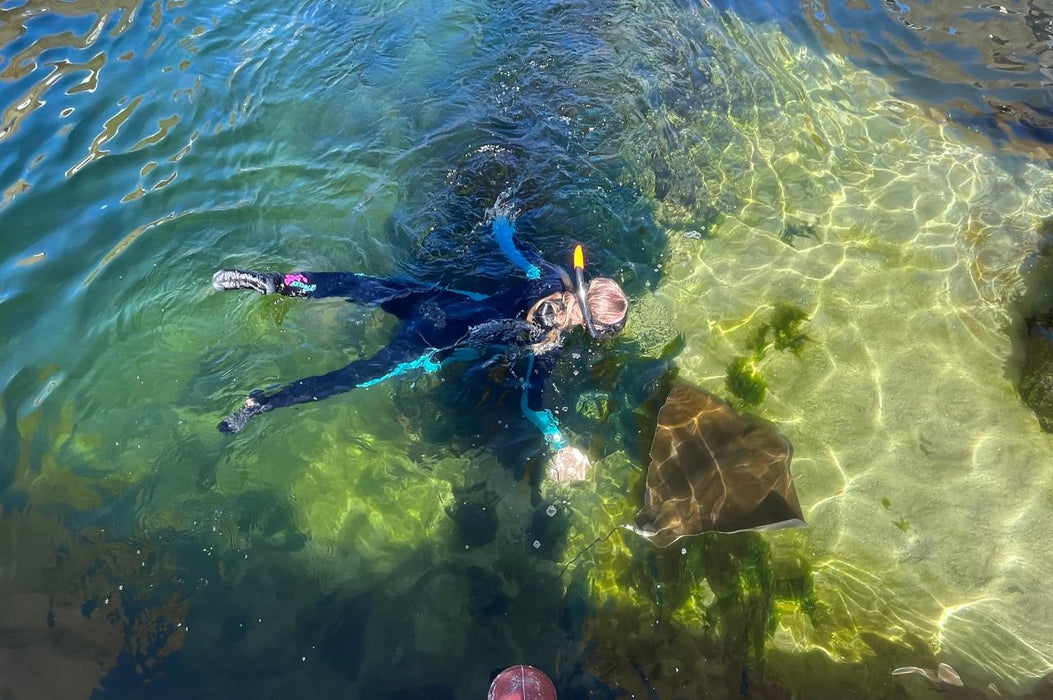 Stingray Snorkel With Entry Pass - We Wander