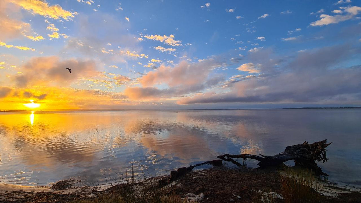 Sunrise Yoga Hike - Erskine - We Wander