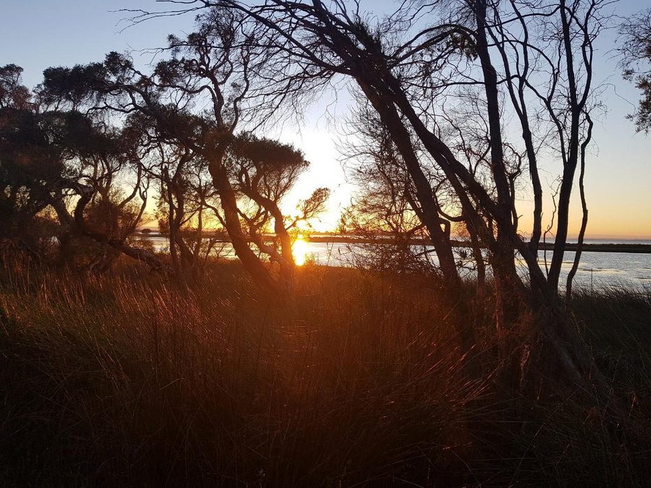 Sunrise Yoga Hike - Erskine - We Wander