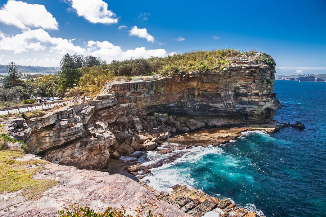 Sydney Icons, Bays & Beaches Cruise - We Wander