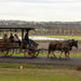 Taste The Valley - Full Day Horse Carriage Wine Tour With Lunch (Minimum 4 People ) - We Wander