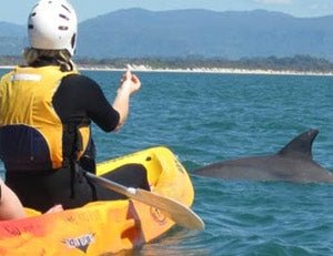 The Byron Bay Sea Kayak Tour - We Wander