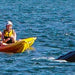 The Byron Bay Sea Kayak Tour - We Wander