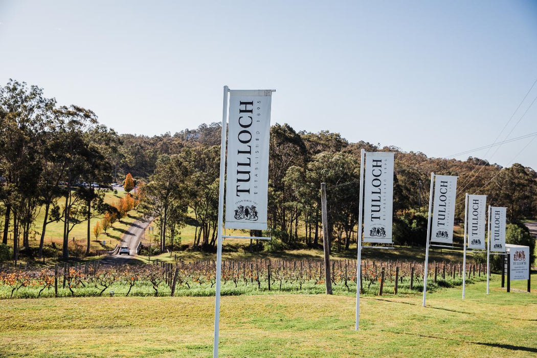 Tulloch Wines - Vertical Tasting Of Pokolbin Dry Red Shiraz Over 6 Vintages With Charcuterie Board - We Wander