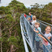 Valley Of The Giants Tree Top Walk - We Wander