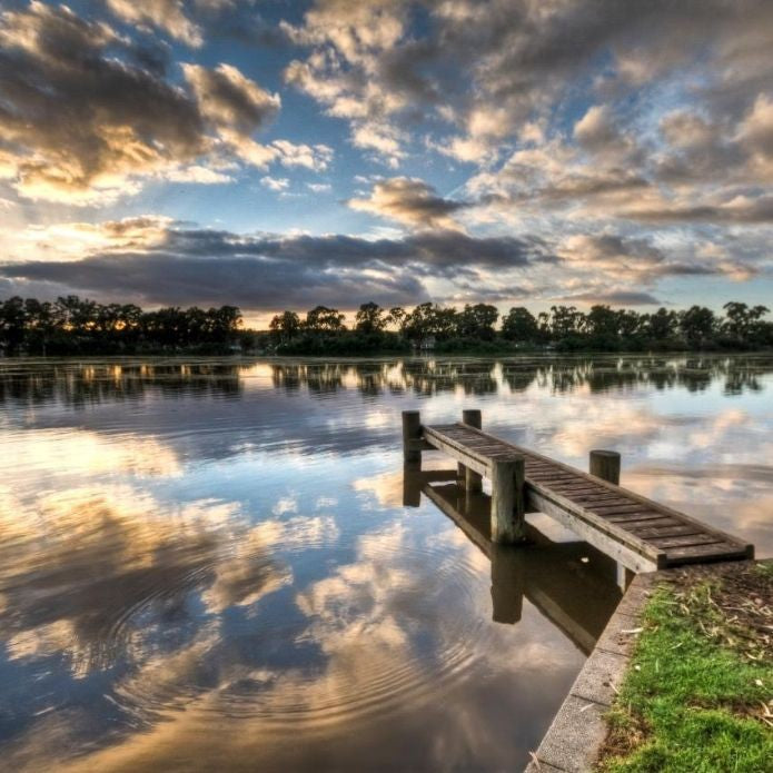 Murray River Day Adventure