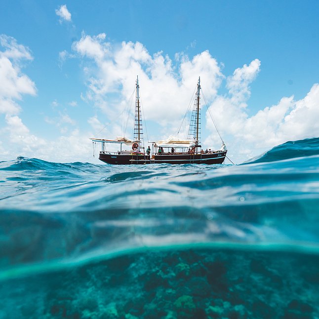 Great Barrier Reef Trip