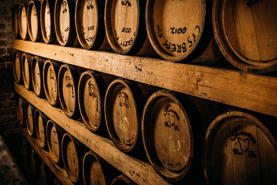 Whisky Tour, Tasting And Lunch Package - We Wander