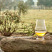 Whisky Tour, Tasting And Lunch Package - We Wander