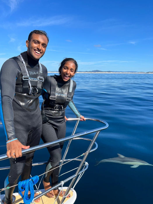 Wild Dolphin Watch - We Wander