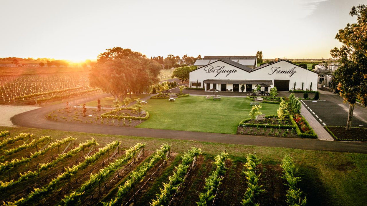 Wine Flight With Six Bites At Digiorgio Family Wines - We Wander